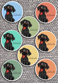 8 x Dog Vinyl Stickers Labrador by The Green Hoodie Collections