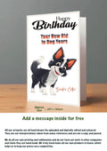 Large Dog Cards Border Collie