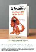 Large Dog Cards Irish Setter
