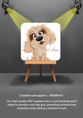 Dog Coasters Border Cockapoo