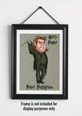 Harry Potter A4 Prints